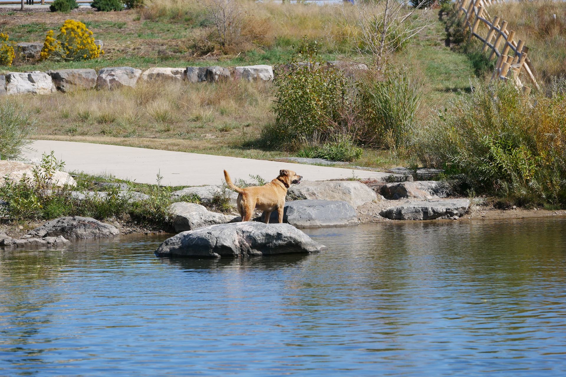 Longmont, CO