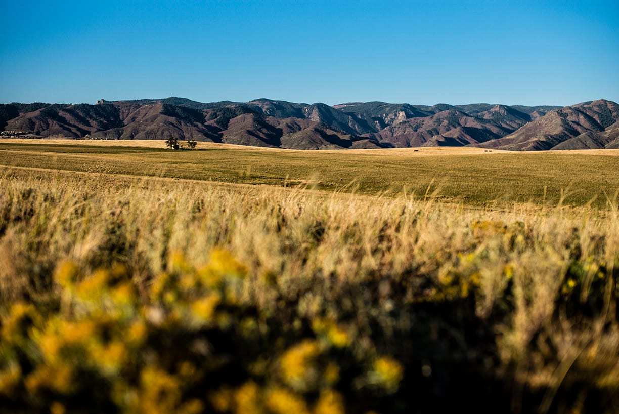 Littleton, CO