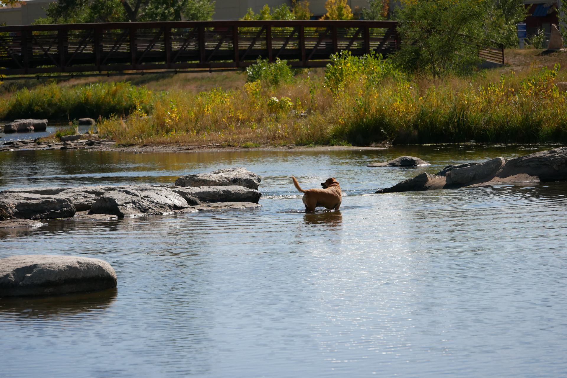 Longmont, CO