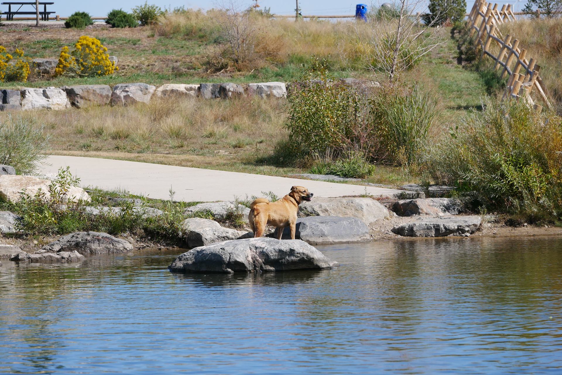 Longmont, CO