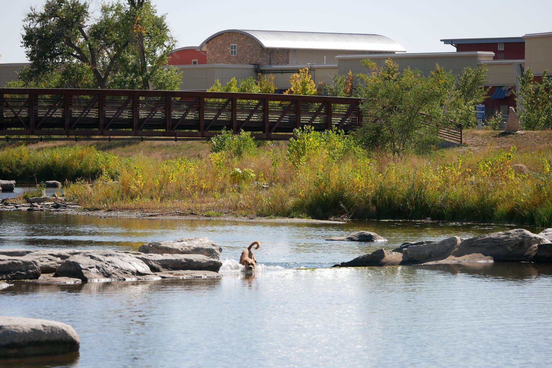 Longmont, CO