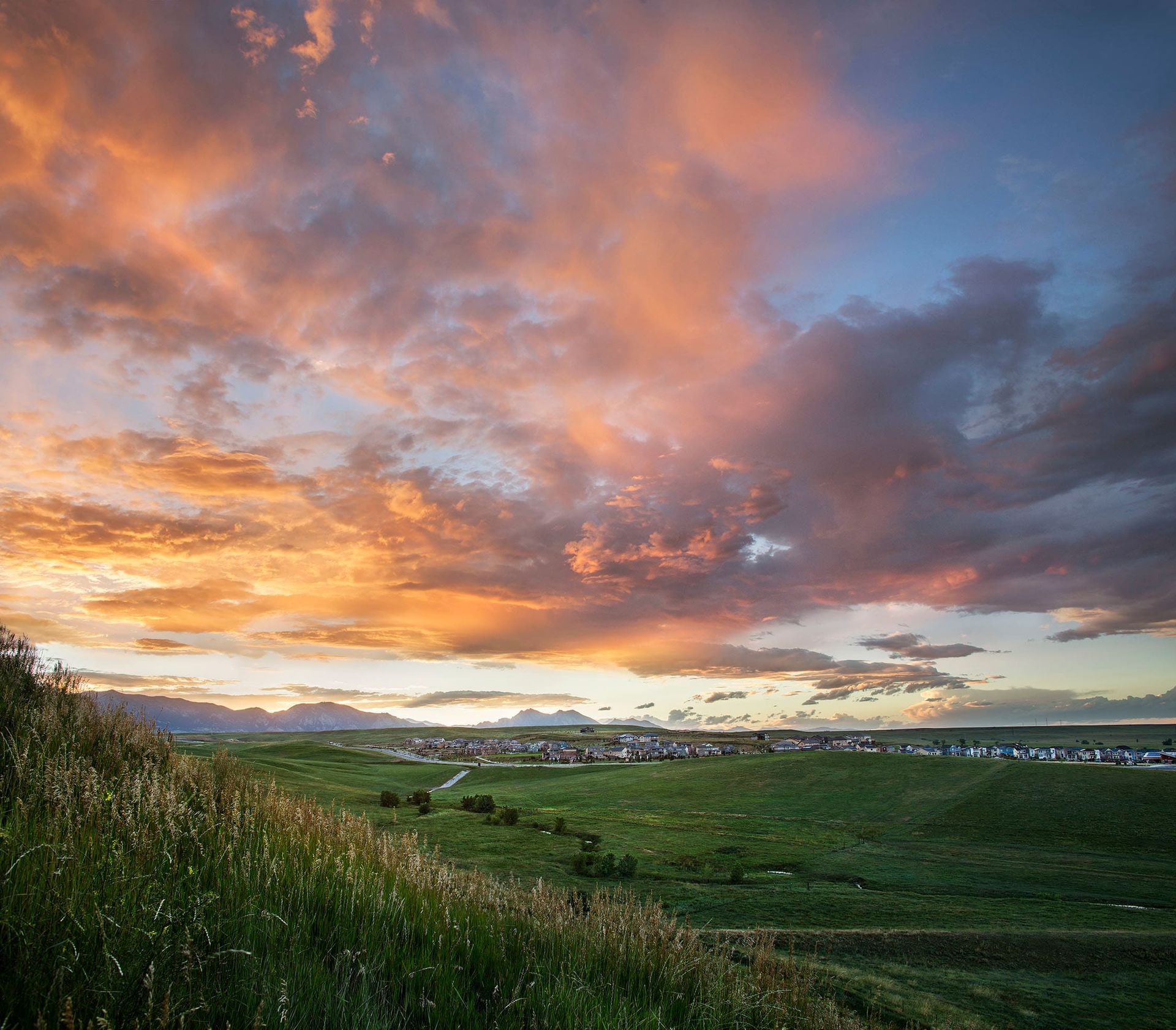 Arvada, CO