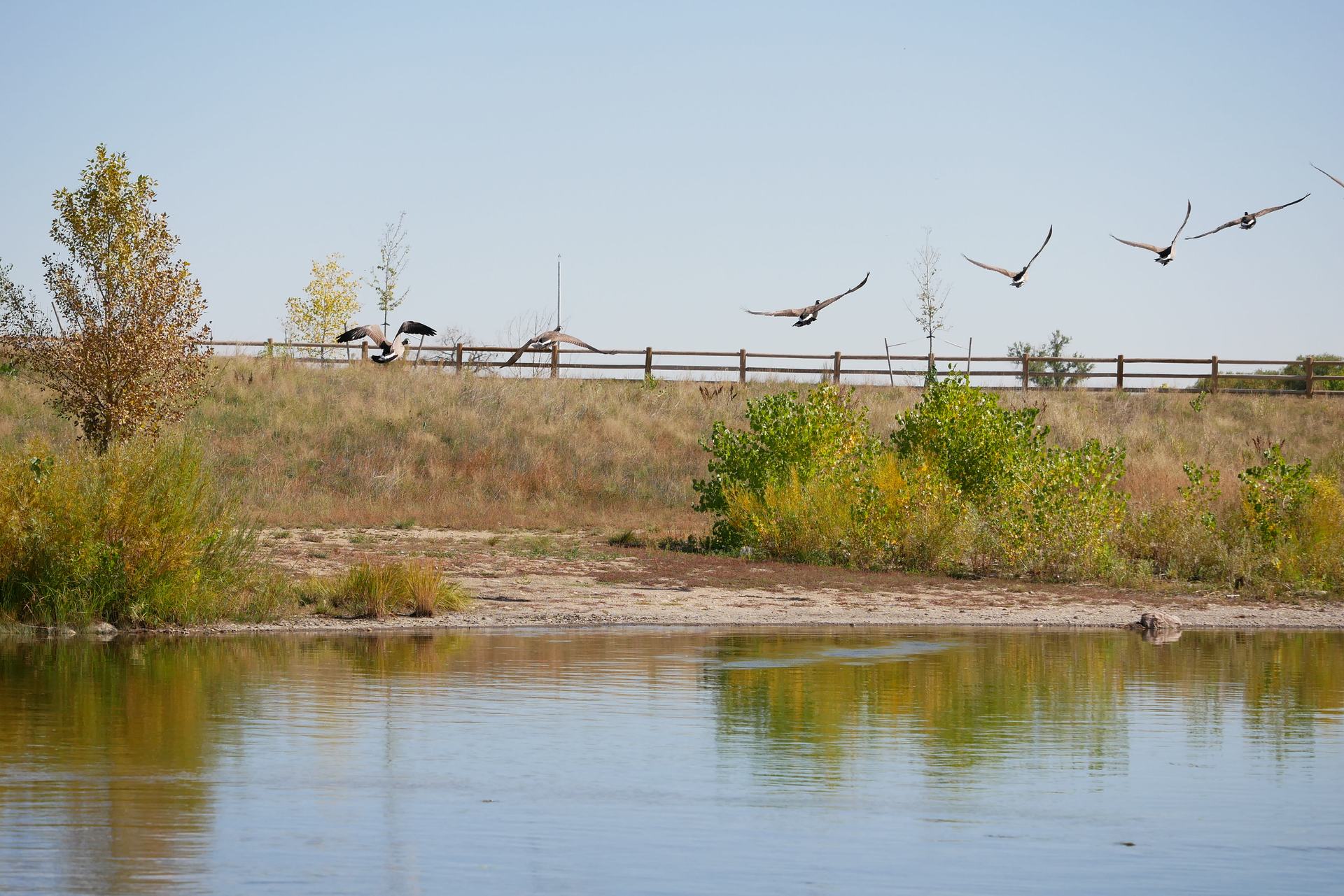 Longmont, CO