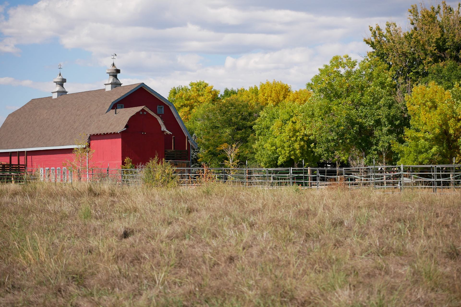 Longmont, CO