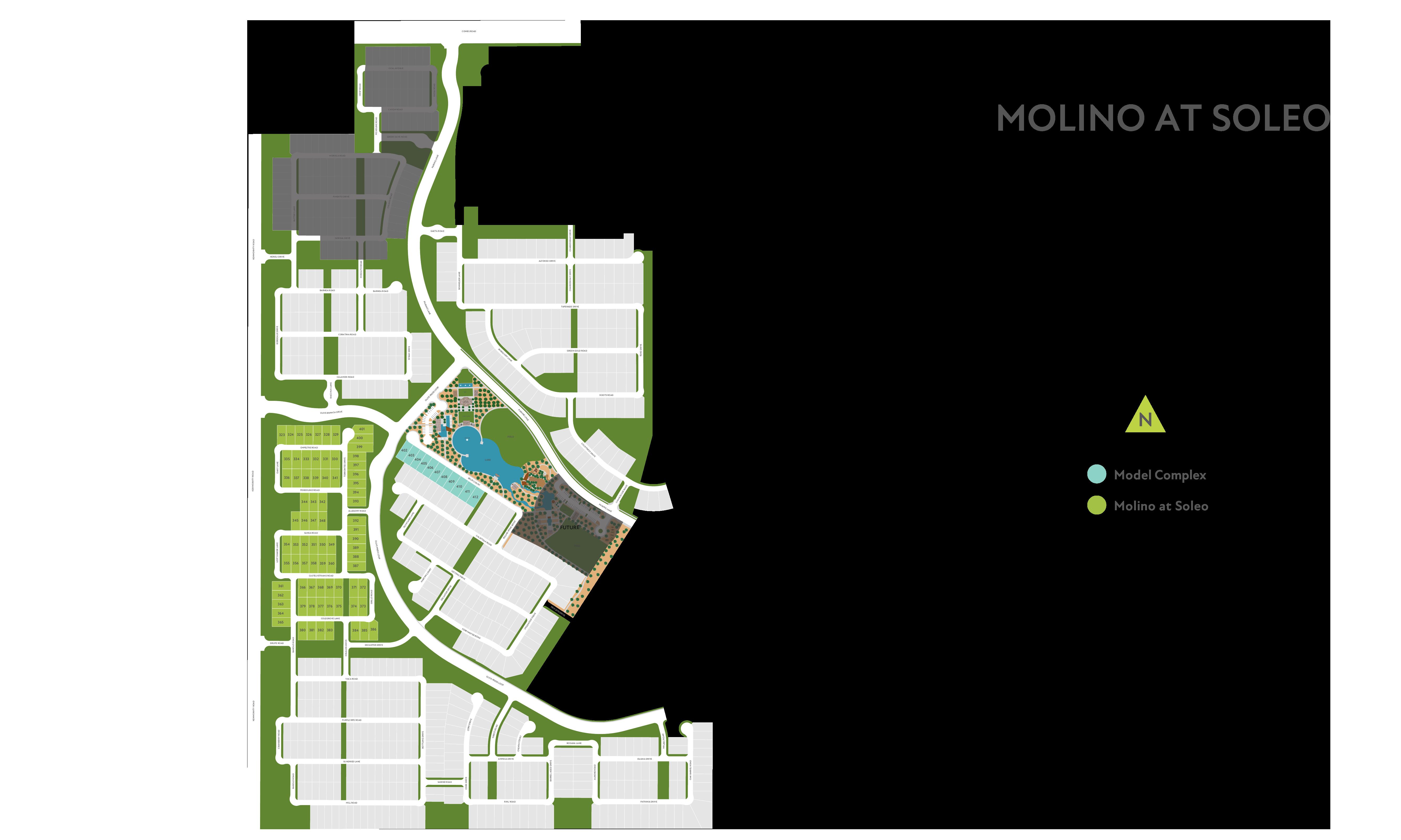 homes in Molino at Soleo by Tri Pointe Homes