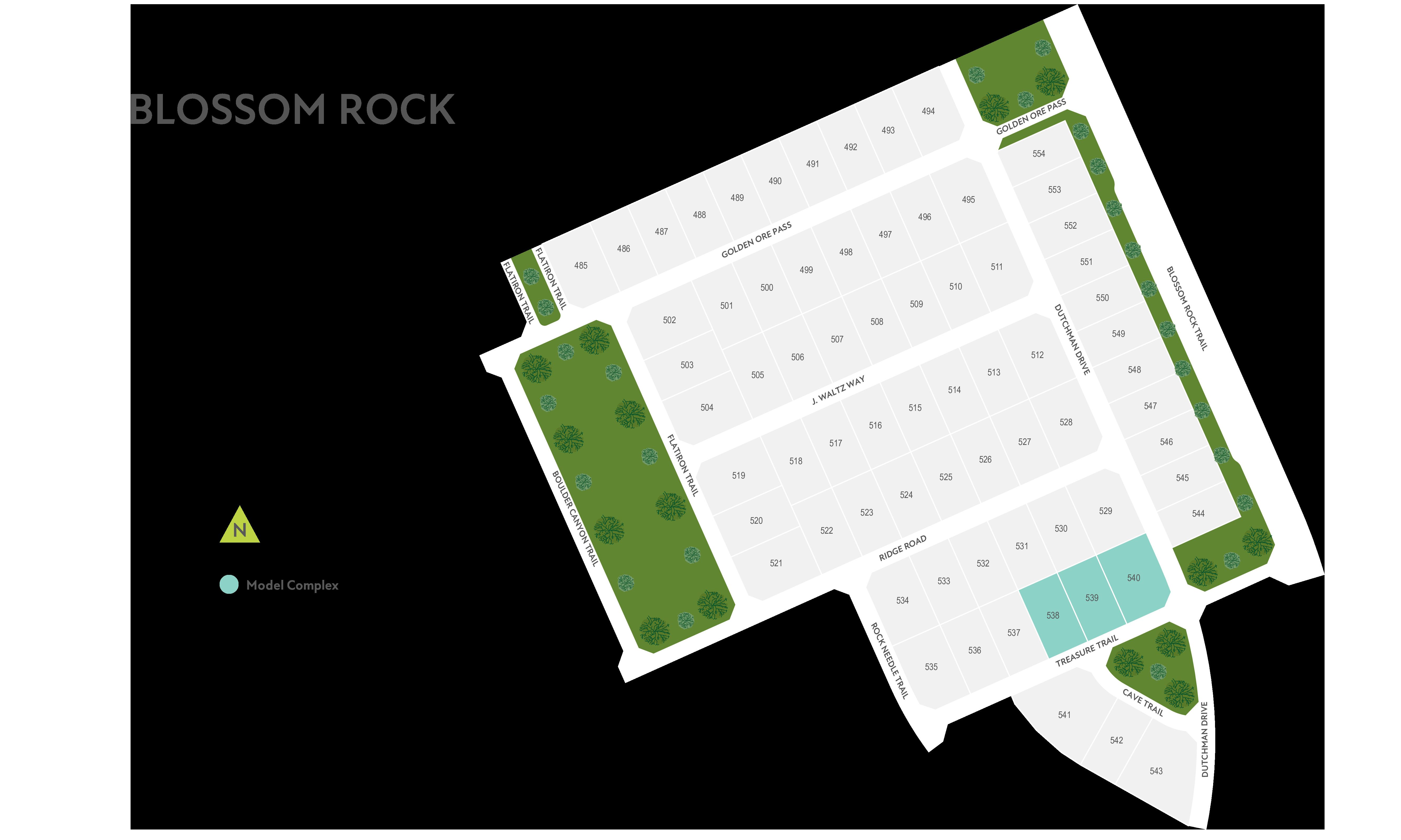 homes in Blossom Rock by Tri Pointe Homes