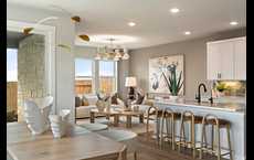 Union Collection at Park Central: Georgetown, Texas - Tri Pointe Homes