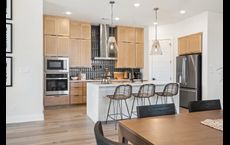 Arbor Collection At Park Central: Georgetown, Texas - Tri Pointe Homes