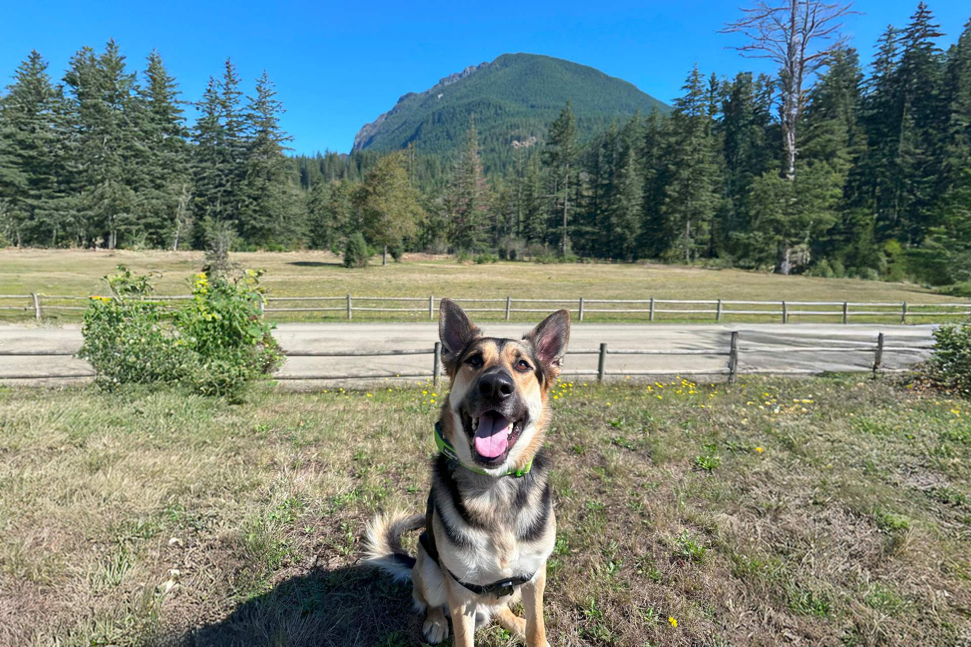 North Bend, WA