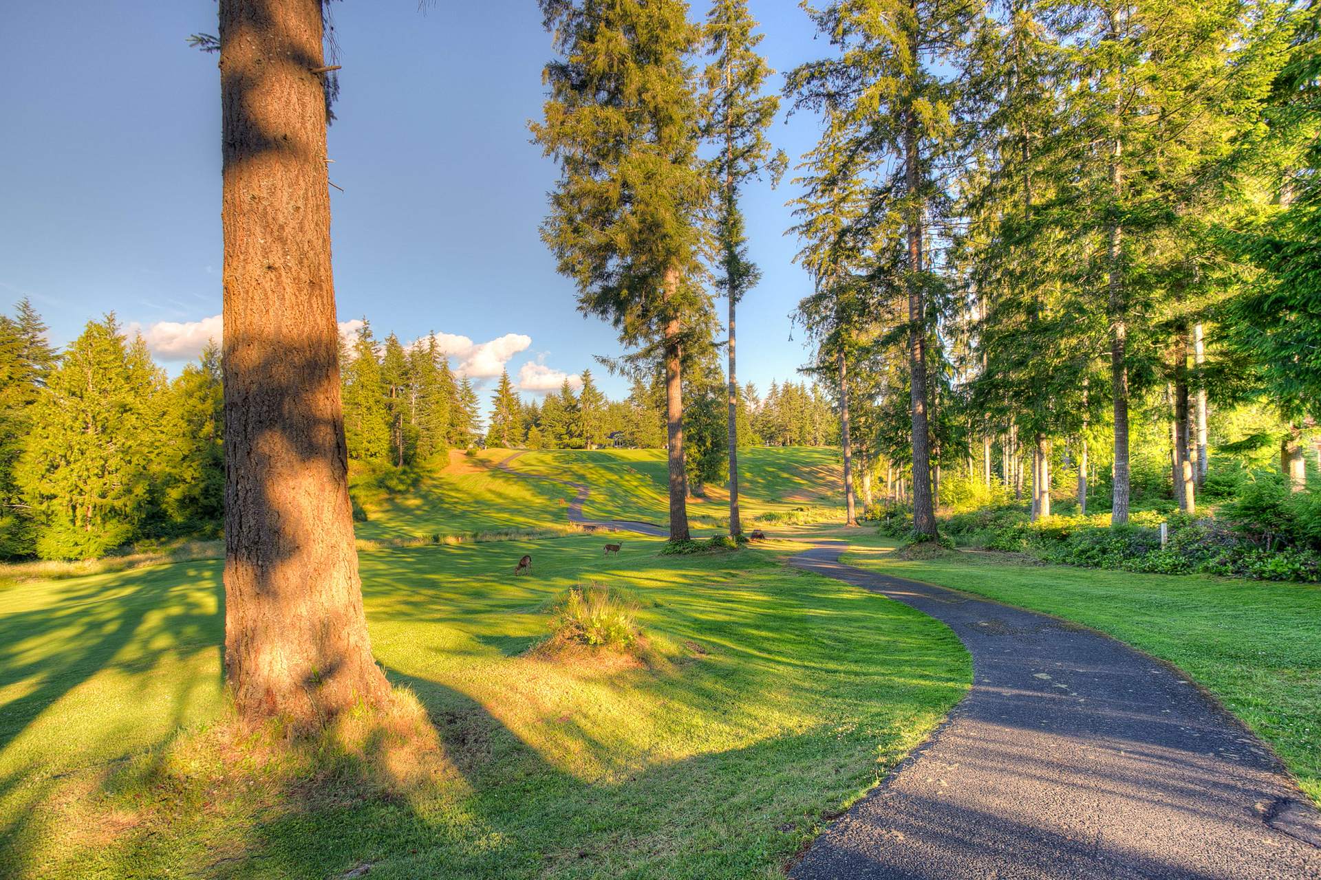 Port Orchard, WA