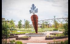Harvest Green 75': Richmond, Texas - Tri Pointe Homes