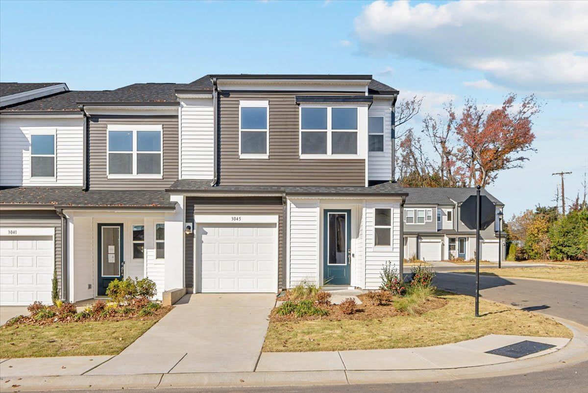 Fifteen 15 Cannon - Charlotte, NC