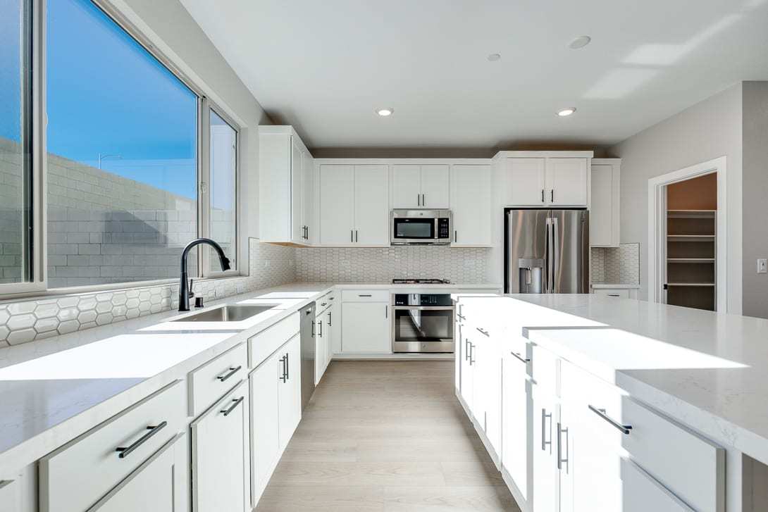 10473 Mountain Aster Avenue