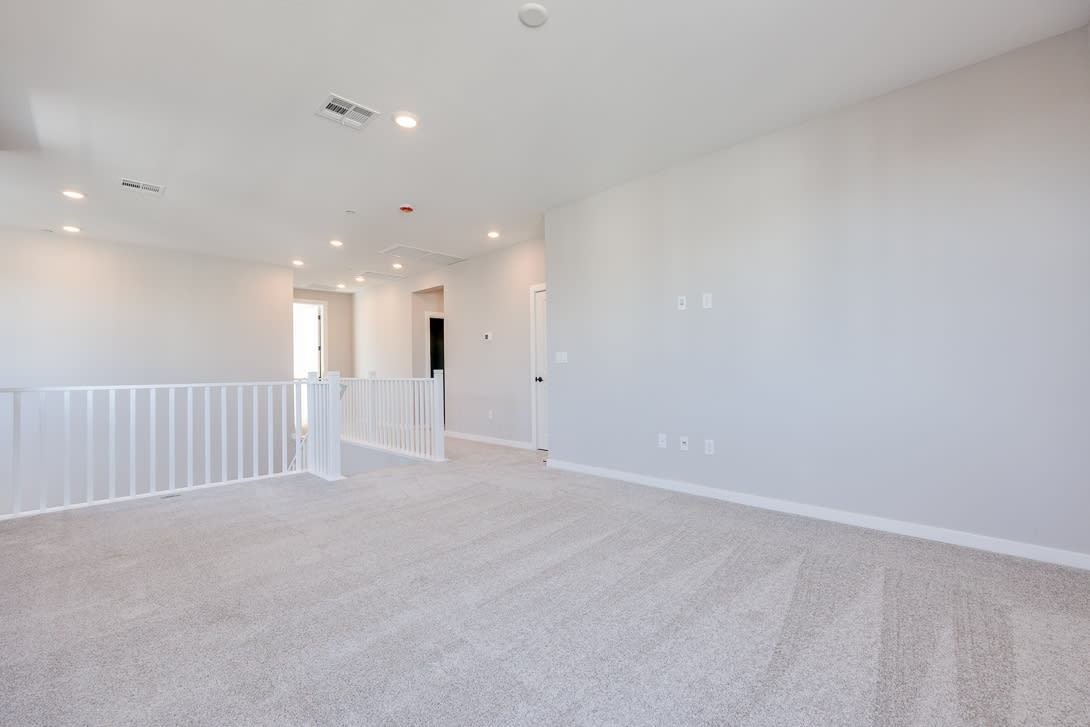 10473 Mountain Aster Avenue