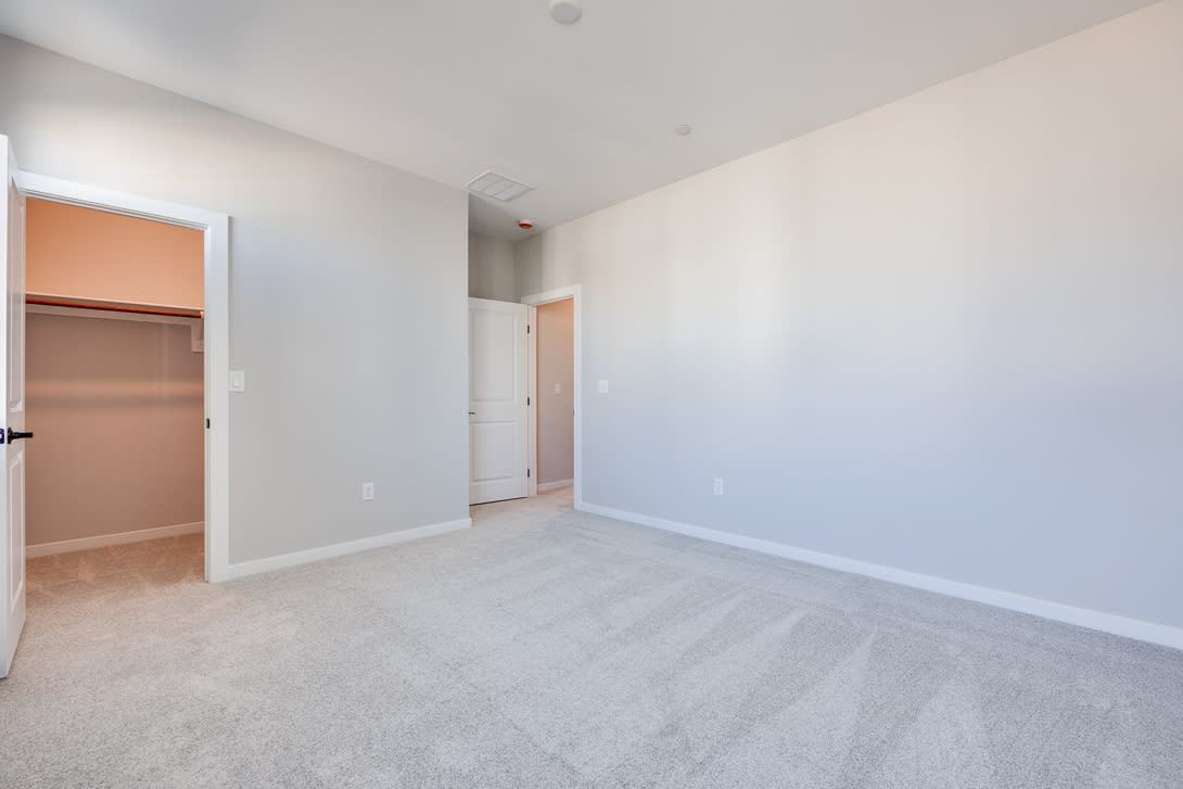 10473 Mountain Aster Avenue