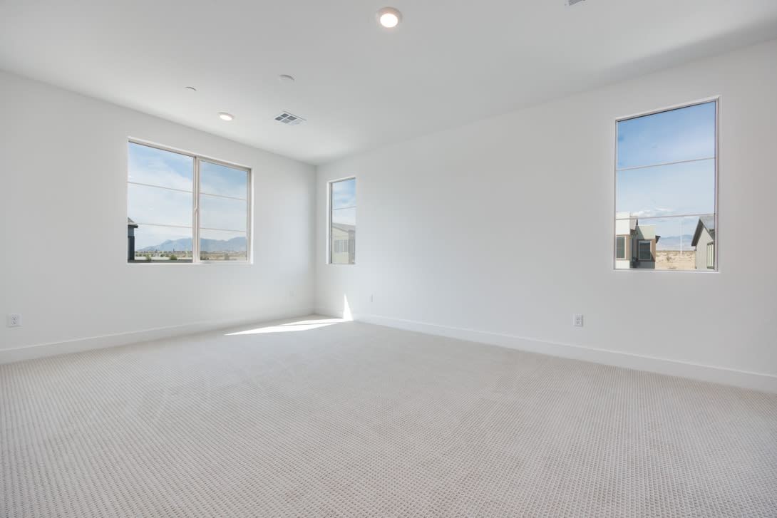 10488 MOUNTAIN ASTER AVENUE