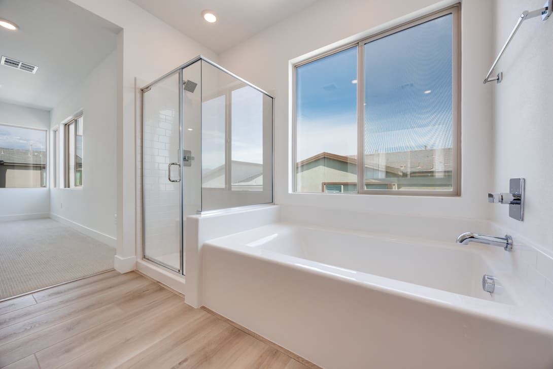 10488 MOUNTAIN ASTER AVENUE