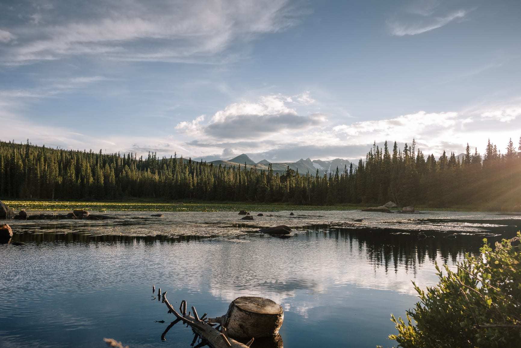 Firestone, CO