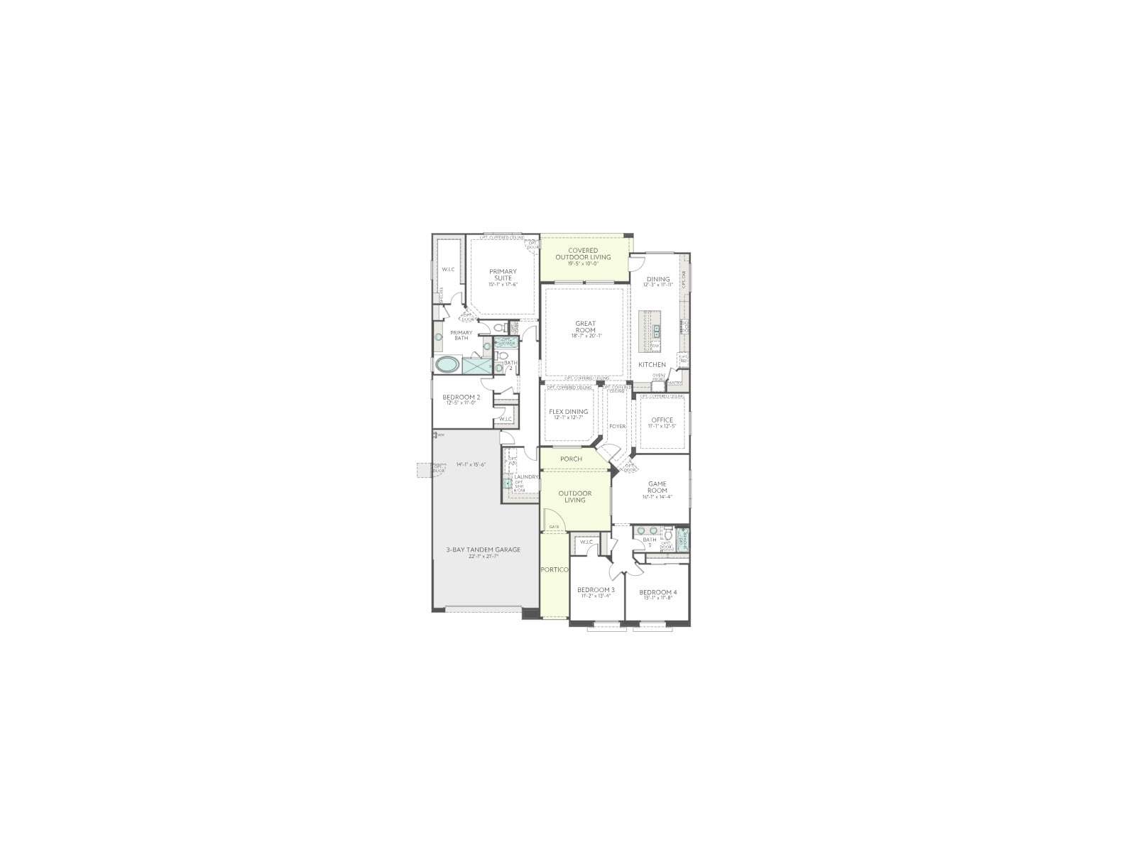 Cholla Plan 5541