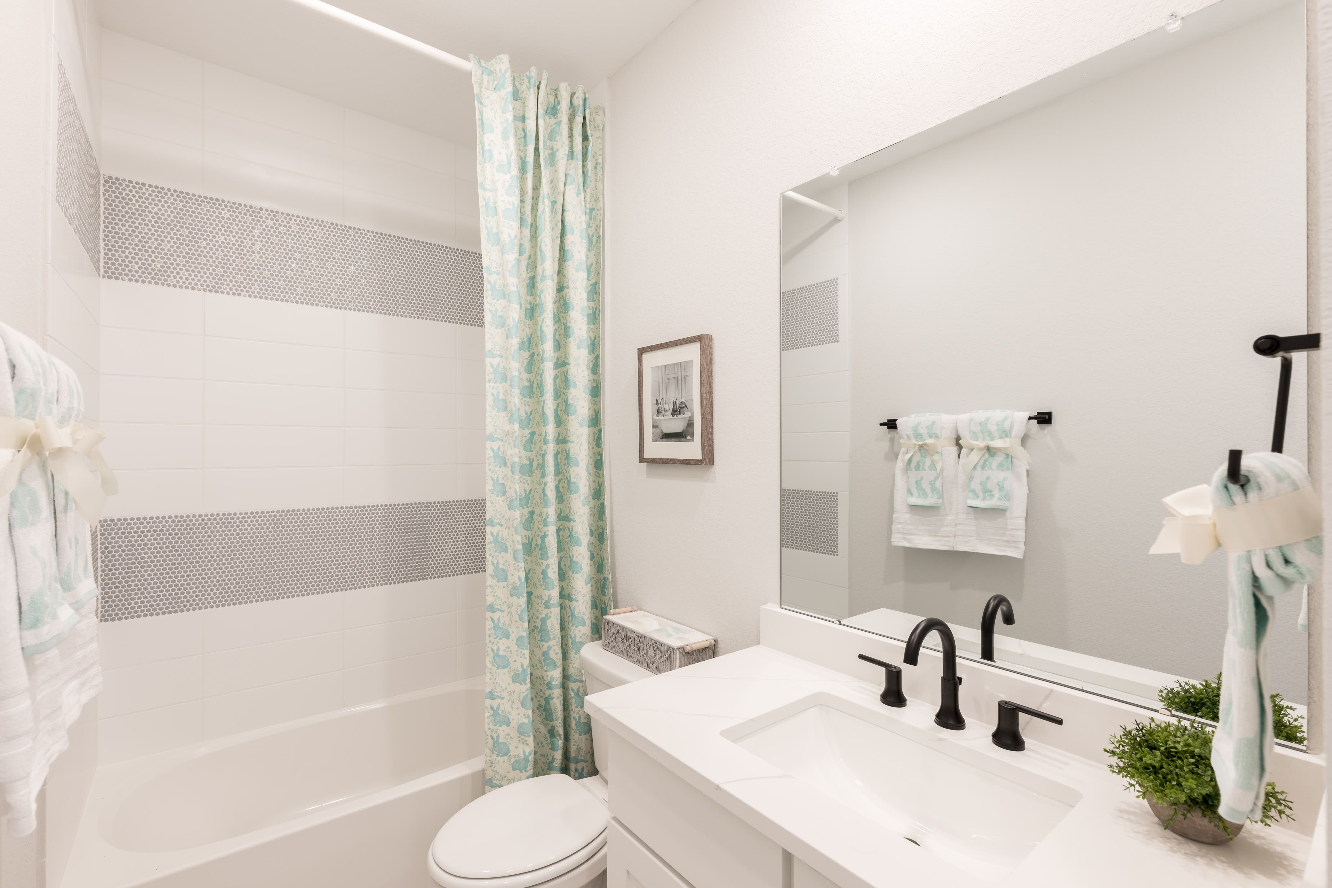 Montgomery, TX