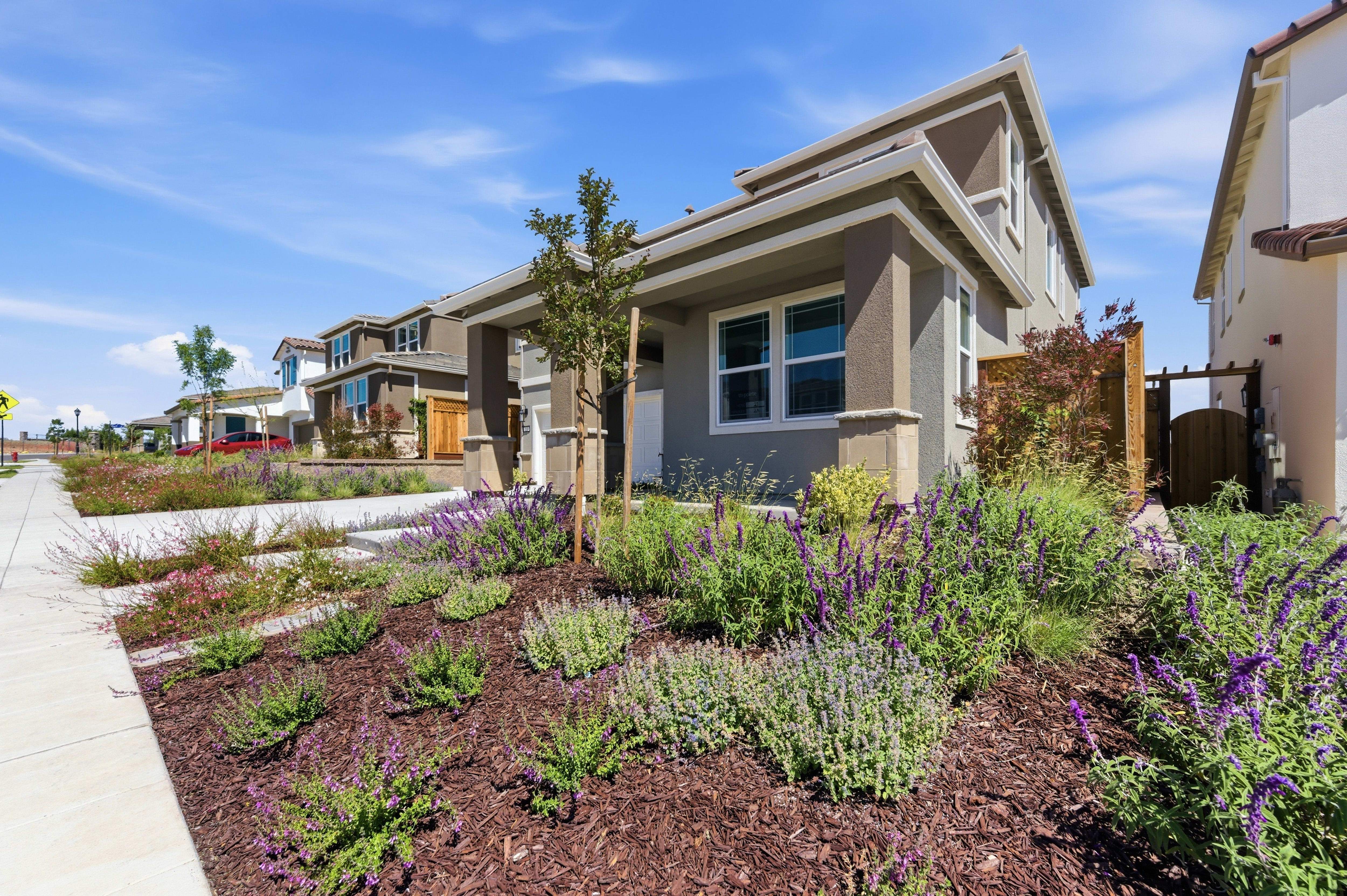 215 W Pasqua Glen