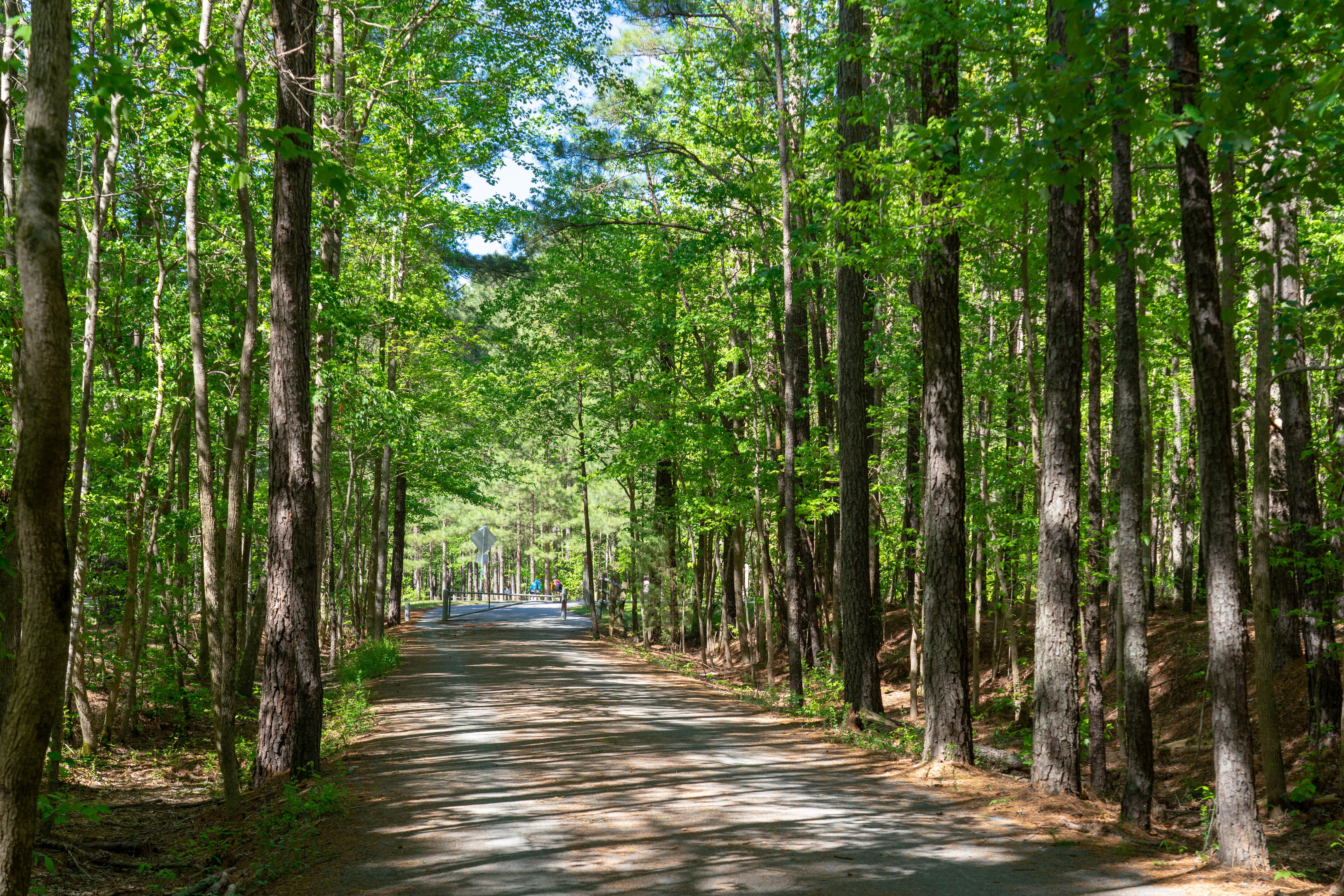 Apex, NC