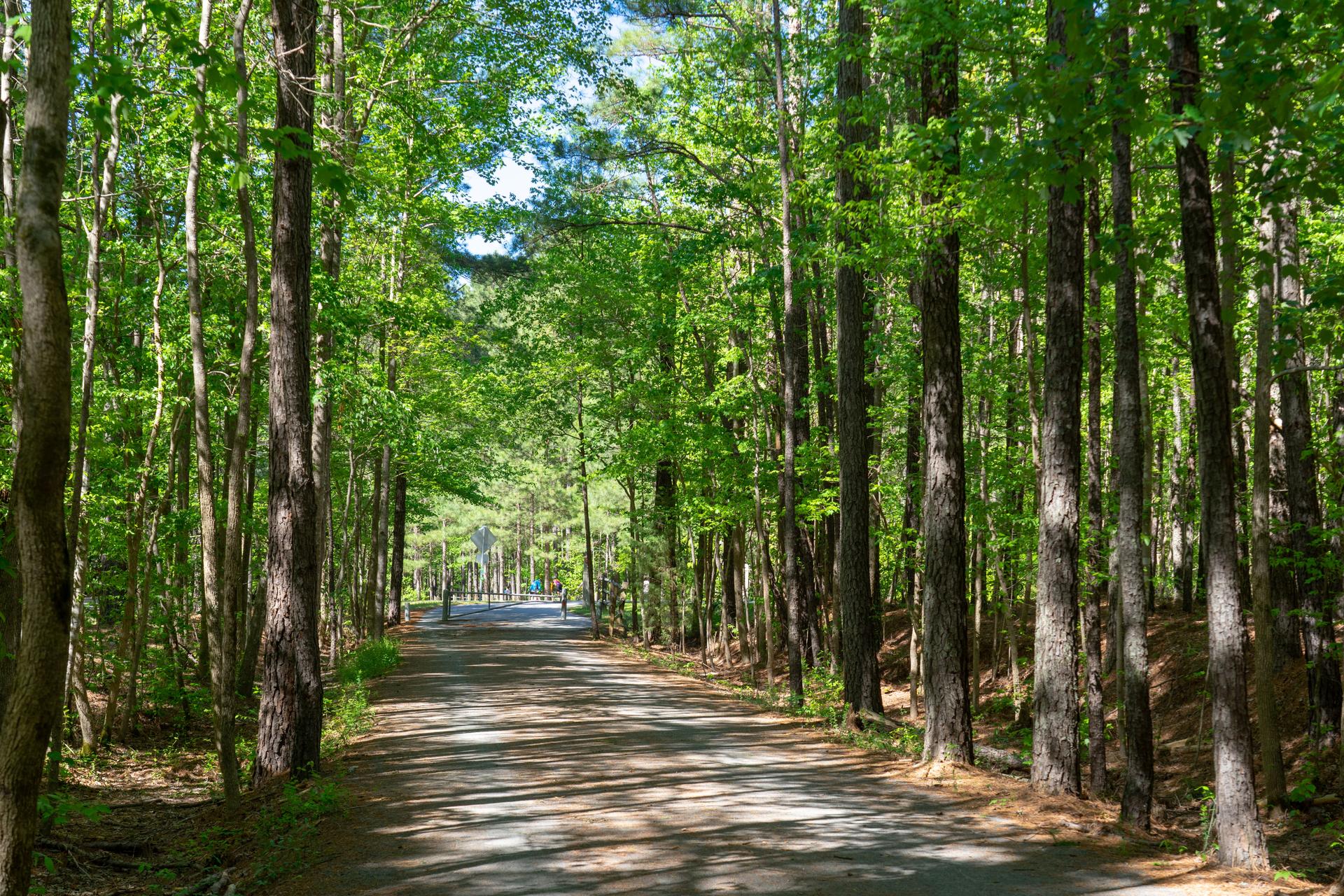 Apex, NC