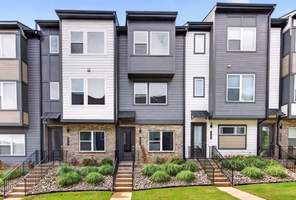 5513 Swaling St (Collins)