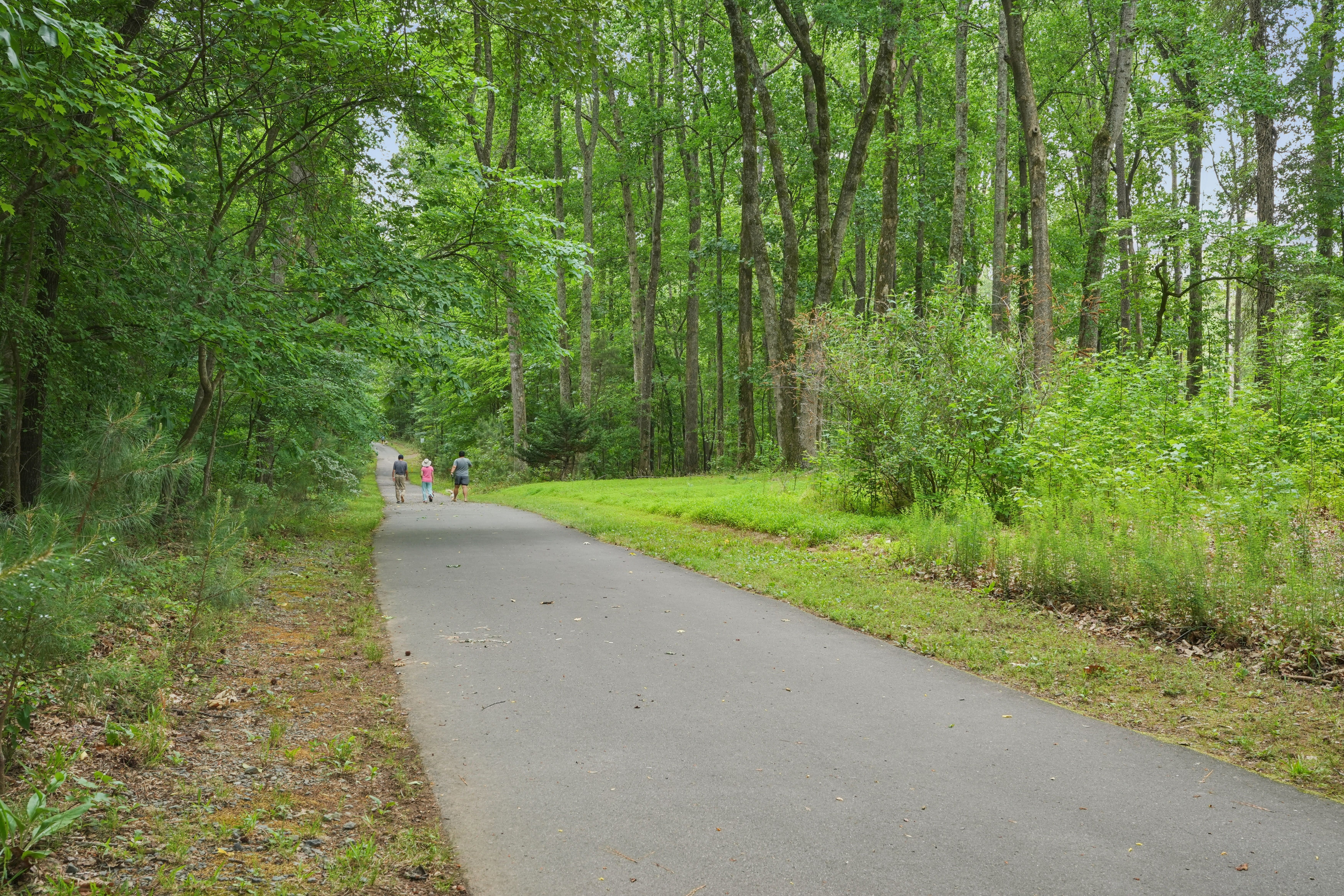 Chapel Hill, NC
