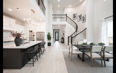 Amandera 45’: Richmond, Texas - Tri Pointe Homes