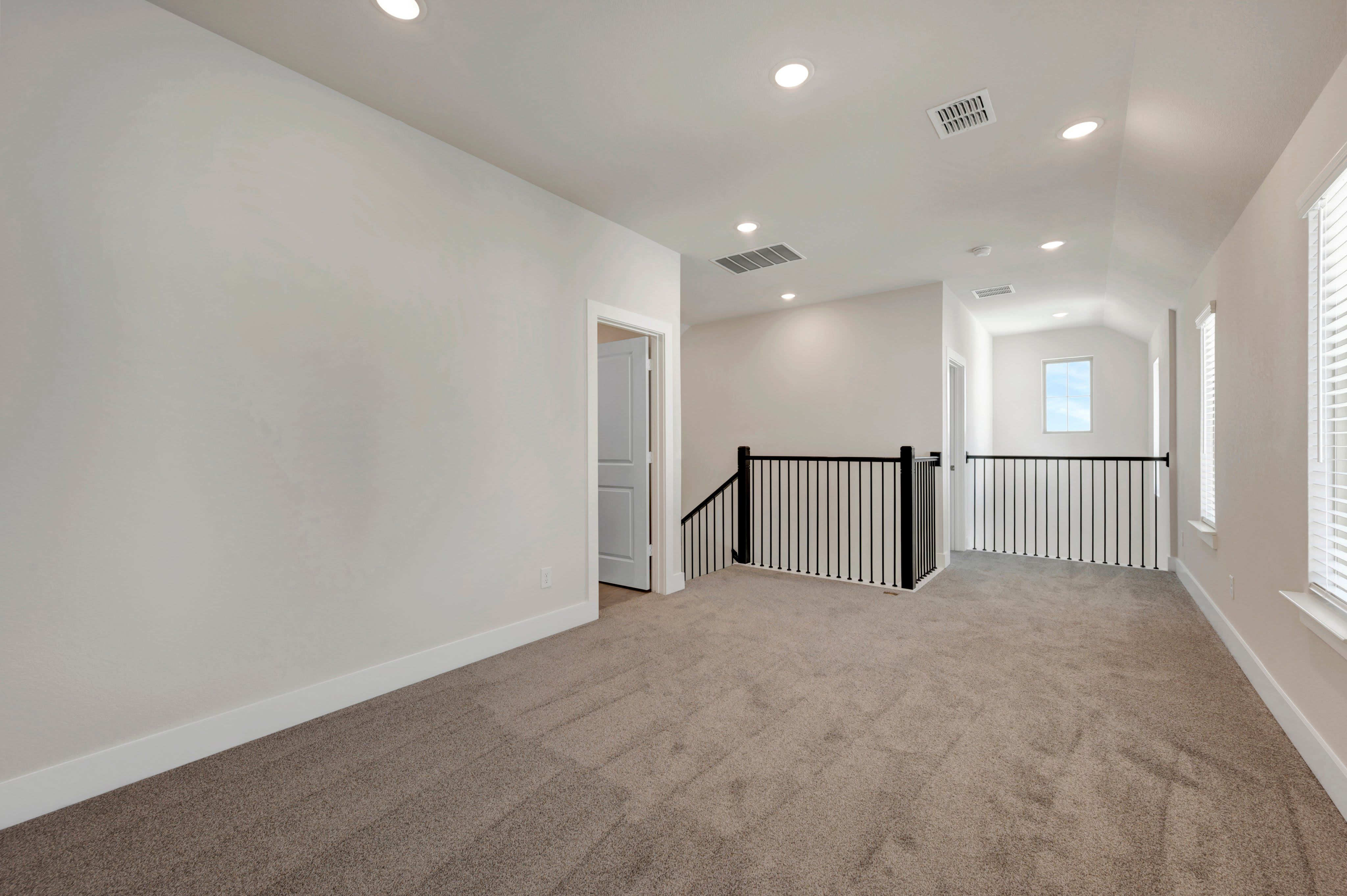 1113 Amaryllis Lane