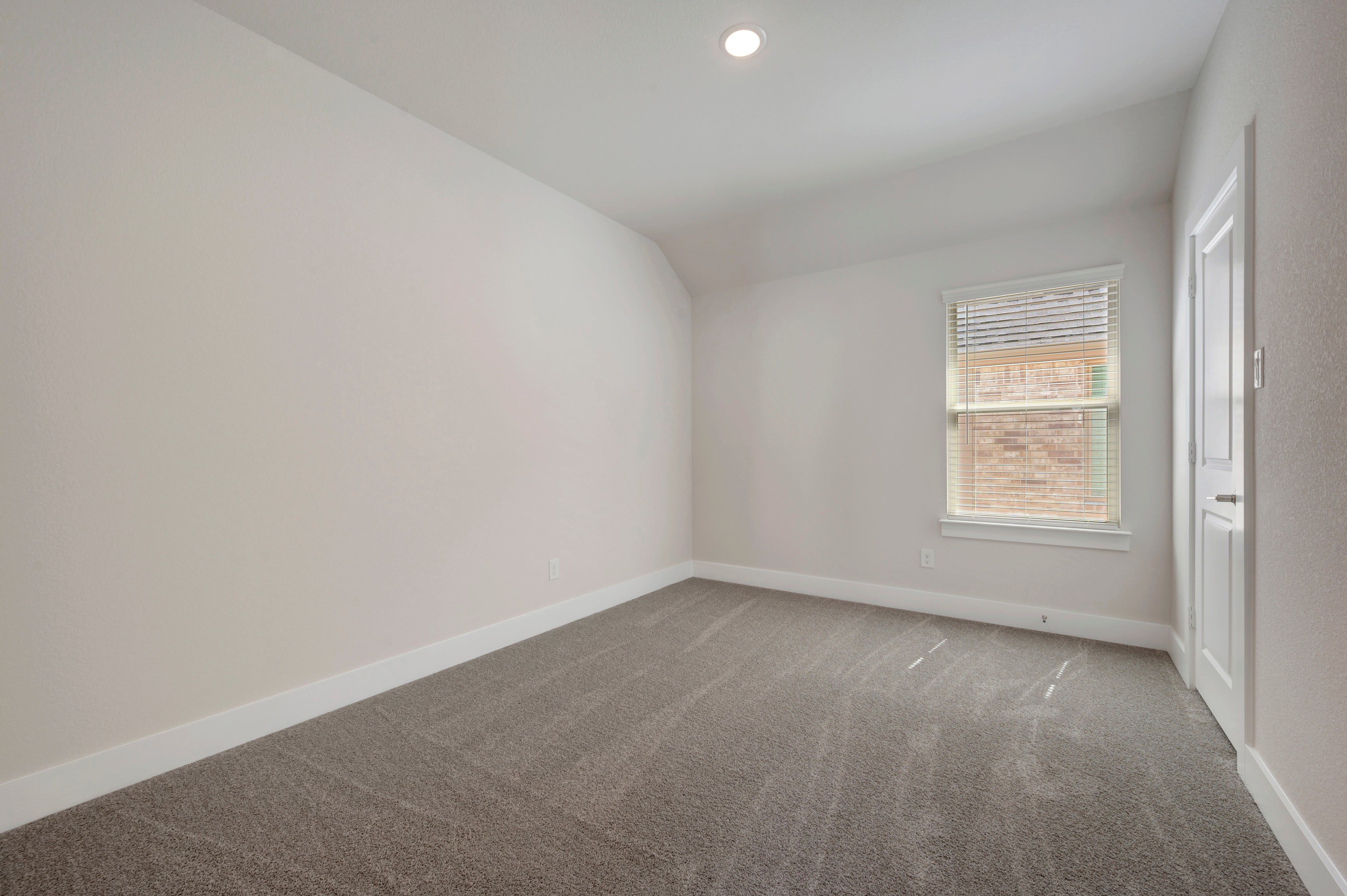 1113 Amaryllis Lane