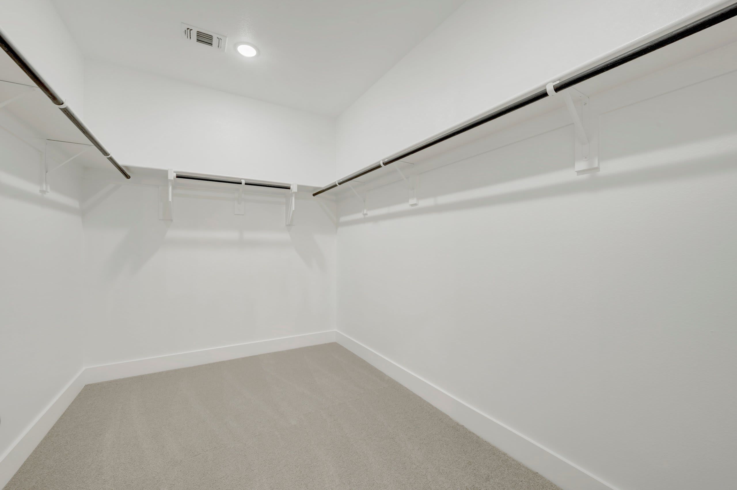 1733 Nesting Robin Lane