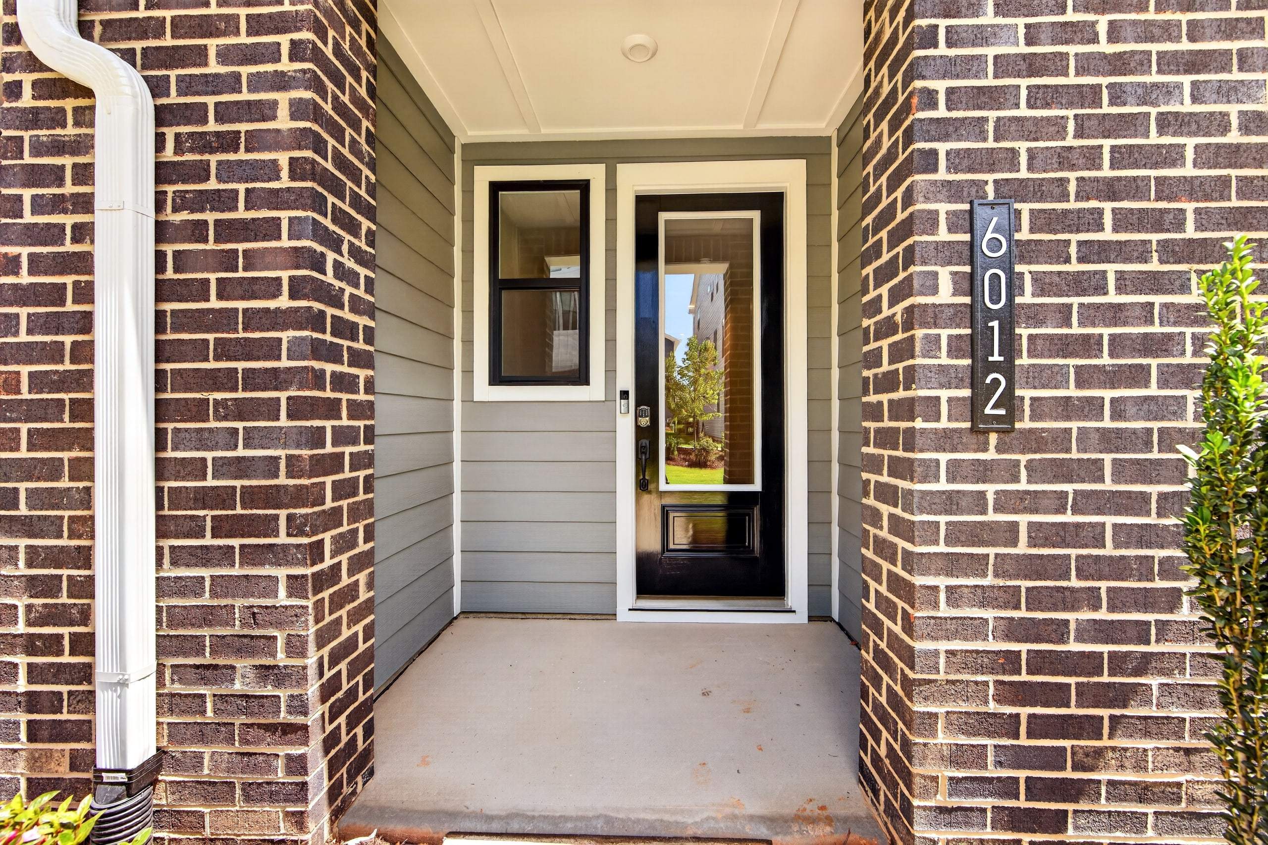 6012 Yellow Buckeye Dr