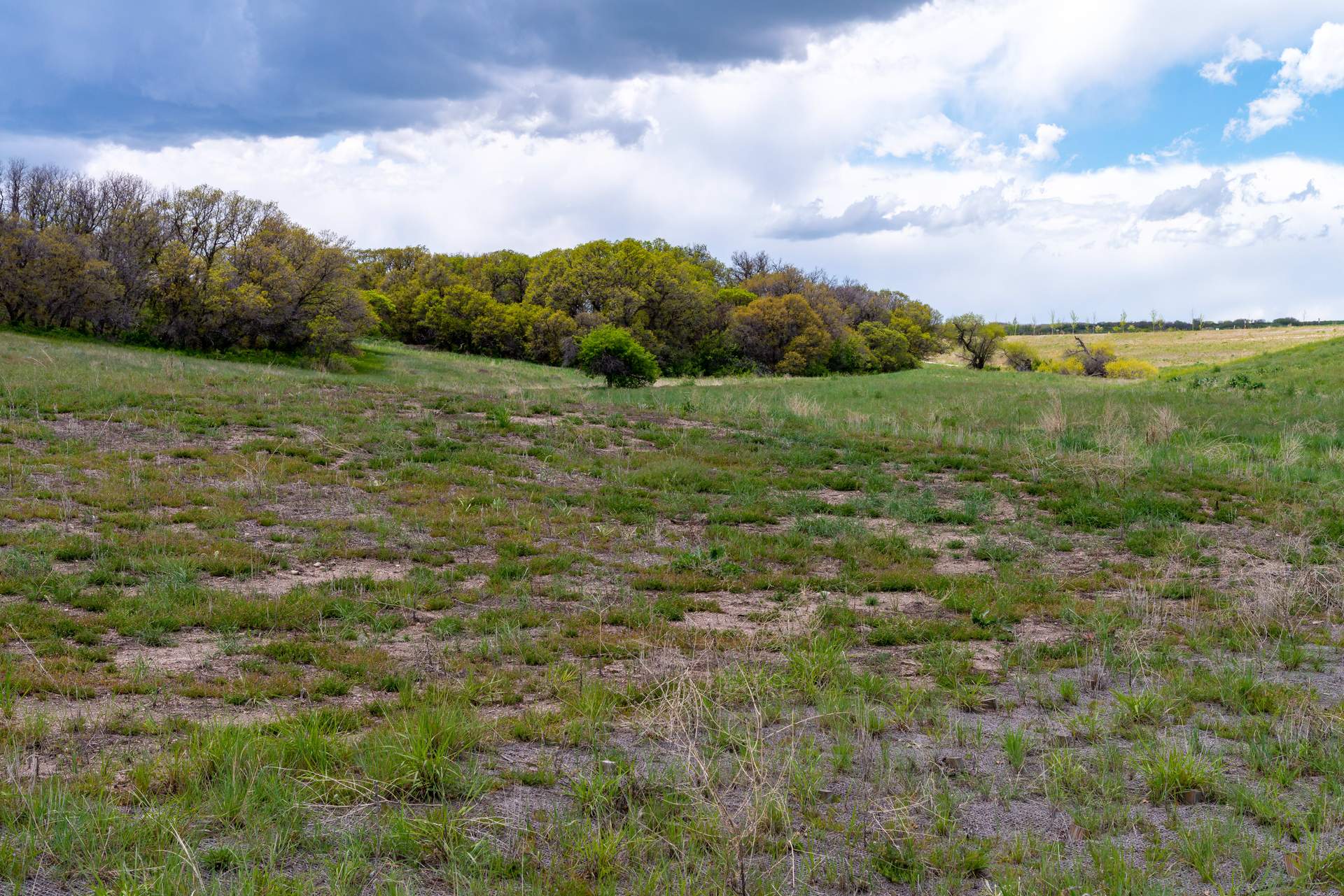 Parker, CO