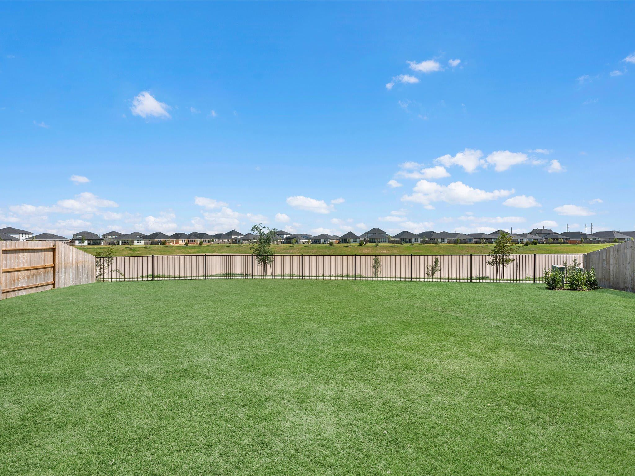 21802 Yellow Sunset Lane