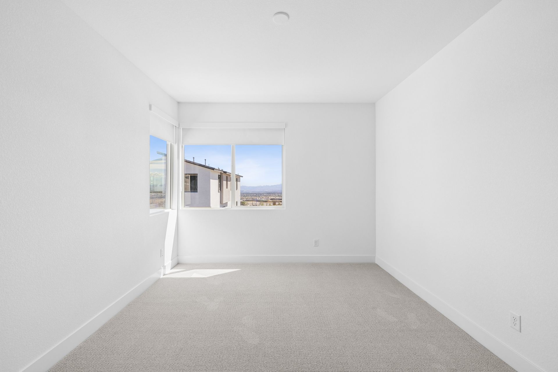 12254 Summer Bloom Lane