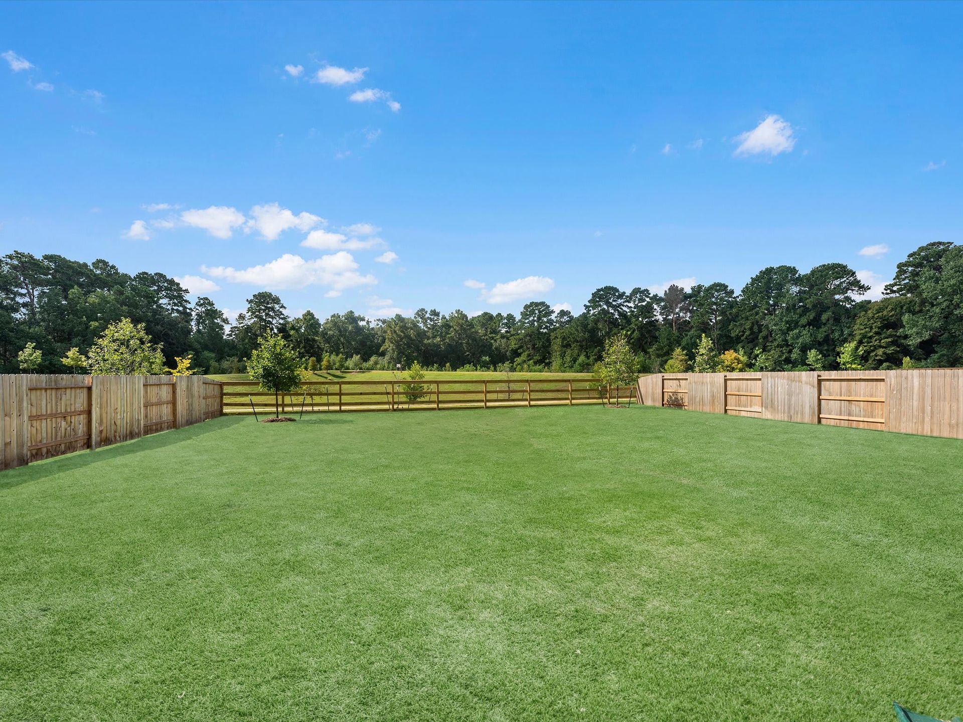 14323 Moonlit Creek Court