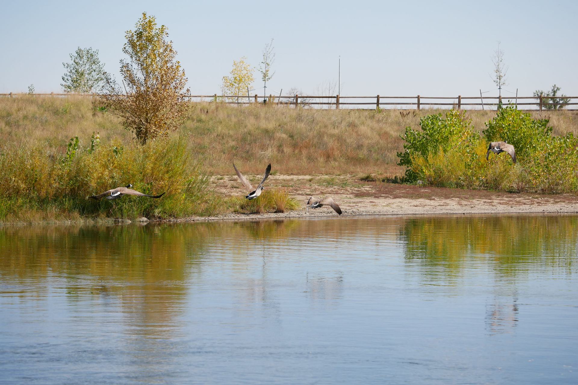 Longmont, CO