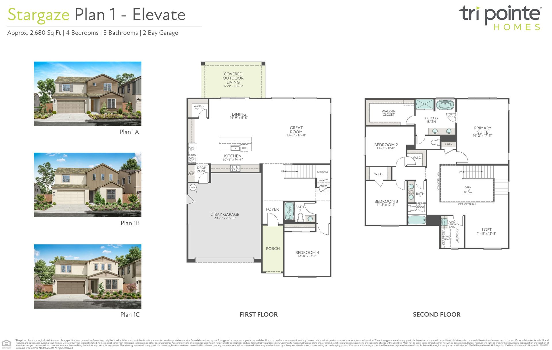 Elevate
