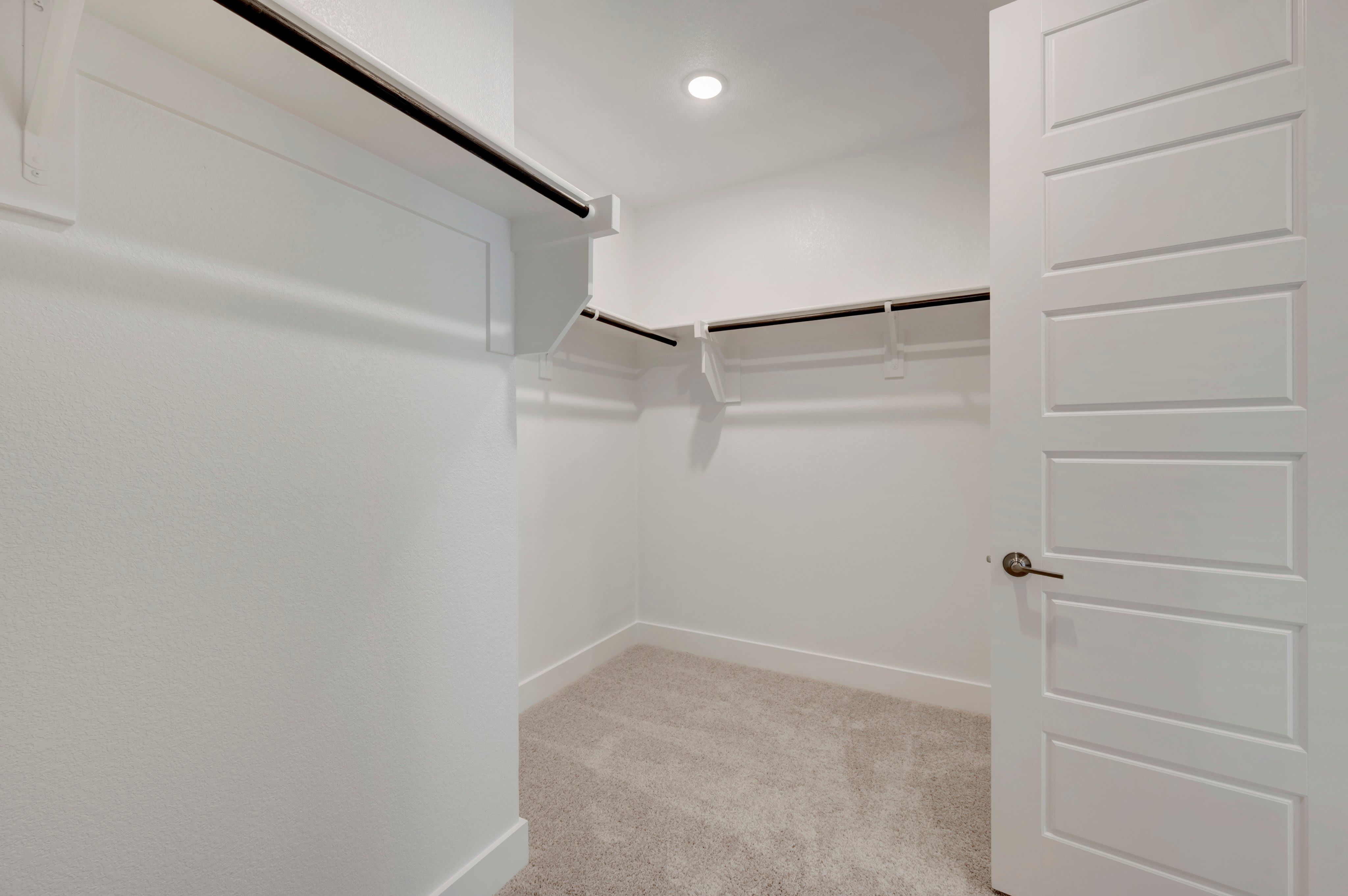 1100 Amaryllis Lane