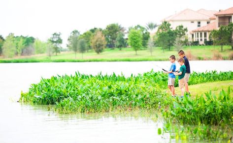 Cross Creek Ranch Amenities
