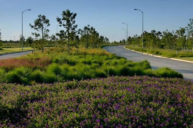 Cross Creek Ranch Amenities