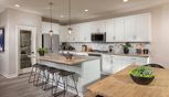 Home in Pomelo by Tri Pointe Homes