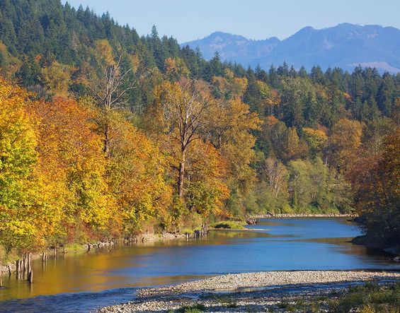 Majestic river access