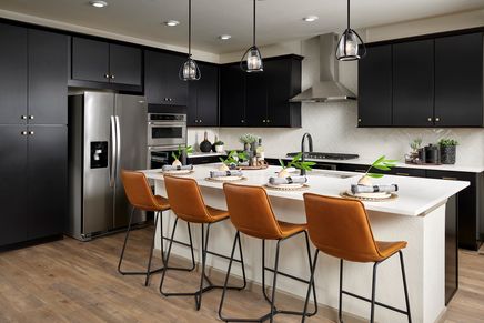 Kitchen with Black Cabinets and Center Island