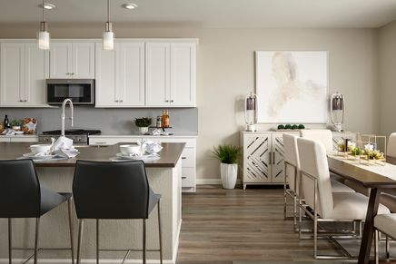 Kitchen and Dining Room