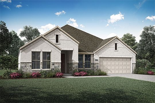 Elevation Rendering