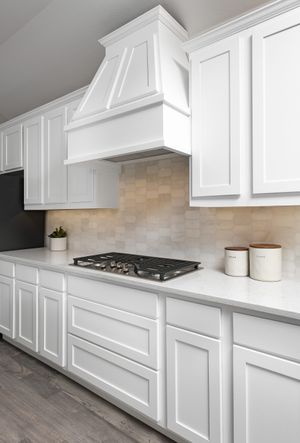 Mila Model - Luxury Kitchen - Representative Only