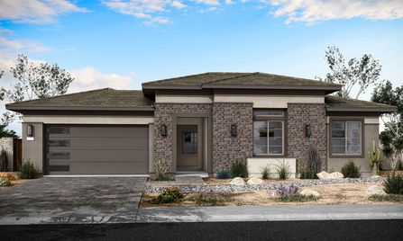 Cholla Plan 5541 Floor Plan - Tri Pointe Homes